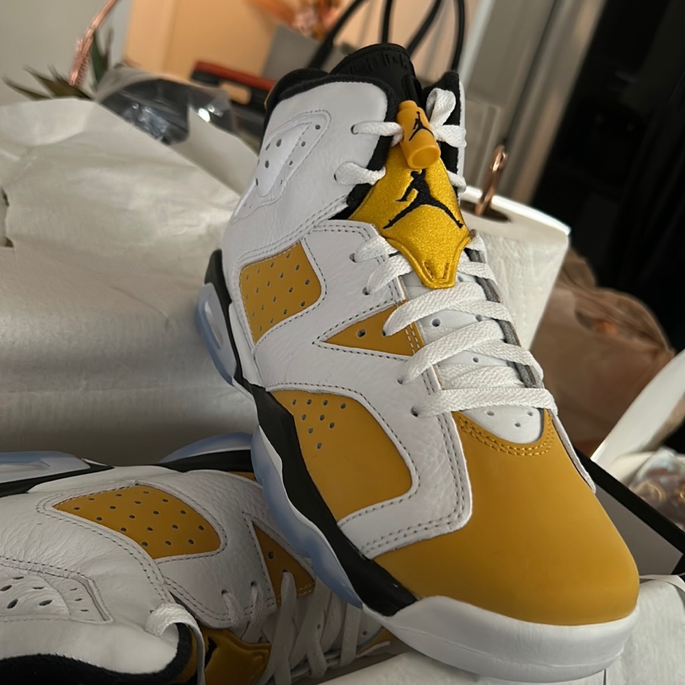 Air Jordan 6 Retro
